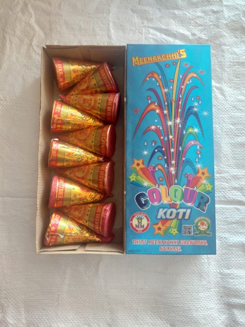 FLOWER POTS MULITI COLOUR KOTI